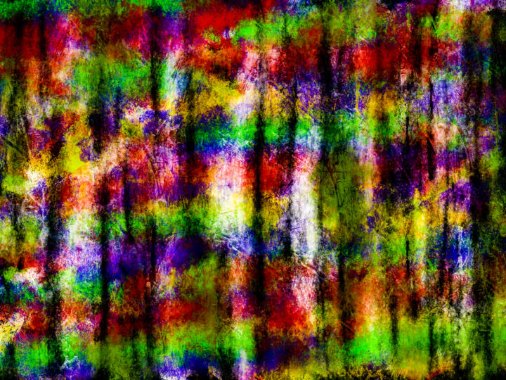 Arts numériques intitulée "The other Curtain" par Keep Magic, Œuvre d'art originale, Peinture numérique Monté sur Châssis en…