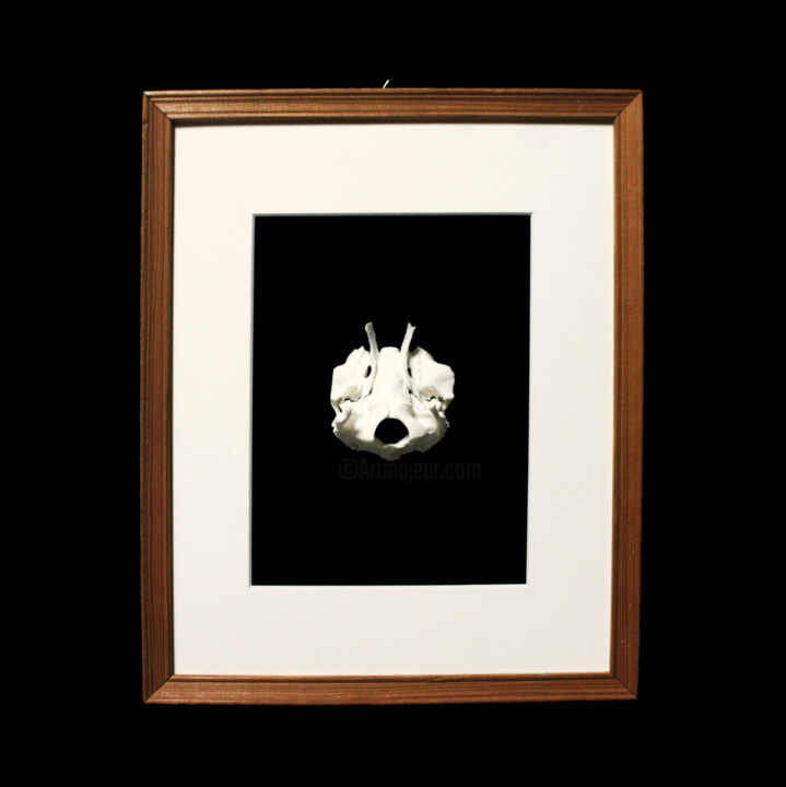 "Frimousse N°4" başlıklı Heykel Hugo Brissaud tarafından, Orijinal sanat, Kemik Ahşap panel üzerine monte edilmiş