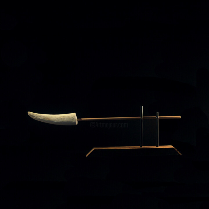 "Equilibre N°12" başlıklı Heykel Hugo Brissaud tarafından, Orijinal sanat, Kemik