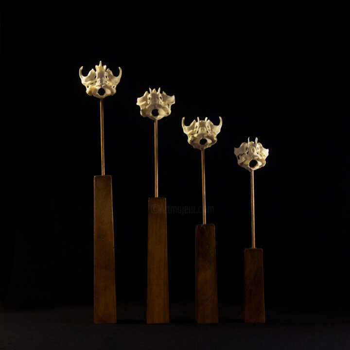 "Equilibre N°5" başlıklı Heykel Hugo Brissaud tarafından, Orijinal sanat, Kemik