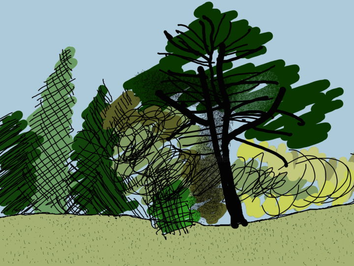 Digital Arts titled "The Trees At The Ed…" by Gerald Shepherd F.F.P.S., Original Artwork, 2D Digital Work