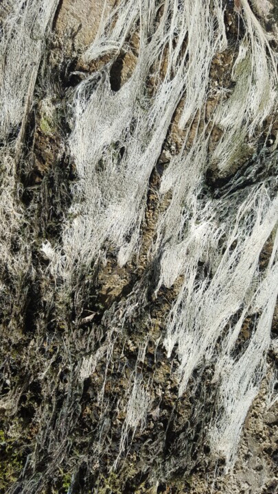 Arte digitale intitolato "Fuoco Bianco Fuoco…" da Mangani', Opera d'arte originale, Fotomontaggio