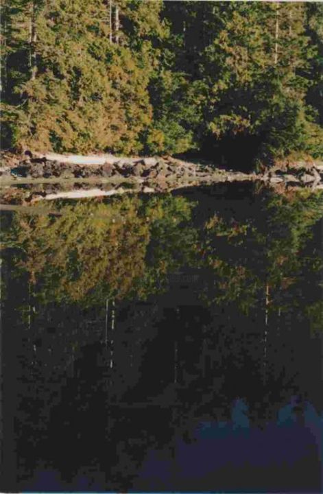 Photography titled "Illusion" by Daube Chris, Original Artwork