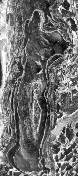 "THE CAT" başlıklı Dijital Sanat Evelyne Descamps tarafından, Orijinal sanat, Dijital Resim