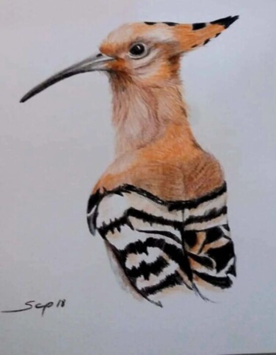 Poupa 绘画, 11.7x8.3 in