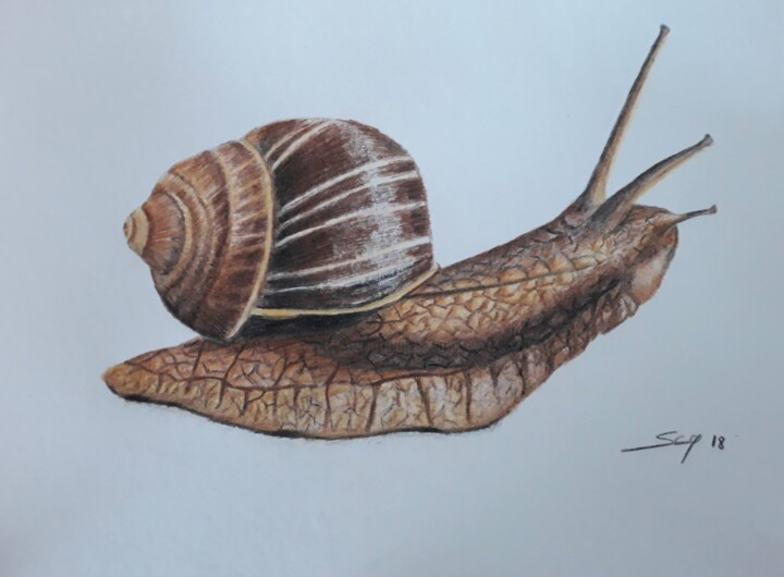 绘画,  8.3x11.7 in 