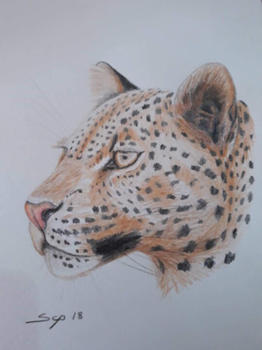 Leopard 绘画, 11.7x8.3 in