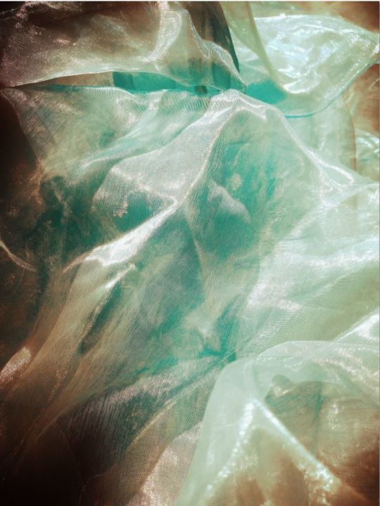 Fotografía titulada "Vision 11" por Catherine Vasseur, Obra de arte original, Fotografía digital