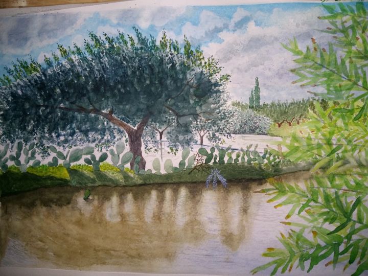Disegno intitolato "l'olivier" da Mohamed Salhi, Opera d'arte originale, Acquarello