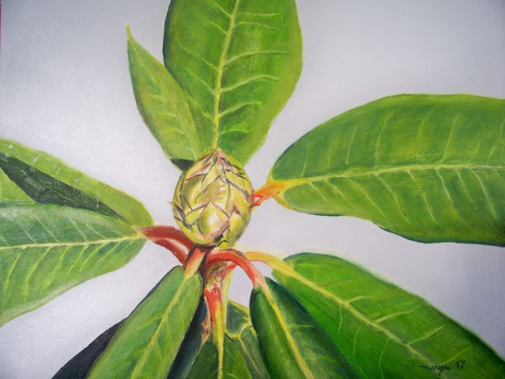 Peinture intitulée "Le bourgeon de rhod…" par Maryse Curinier-Rochette, Œuvre d'art originale, Huile Monté sur Carton