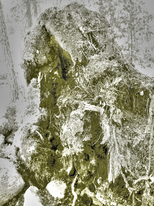 Digital Arts titled "Roots awake" by Przemek Kret, Original Artwork, Digital Painting