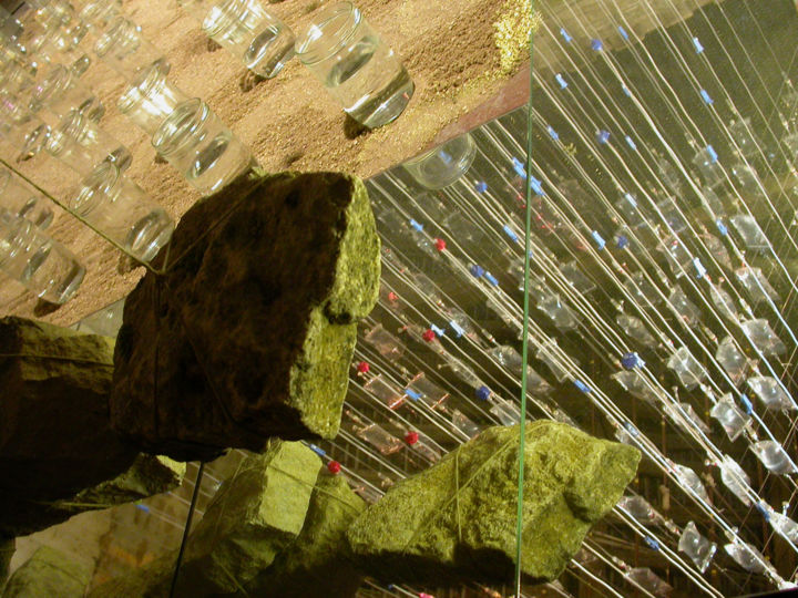 Sculptuur getiteld "cent perfusions" door Brasier Jeanoel, Origineel Kunstwerk, Glas