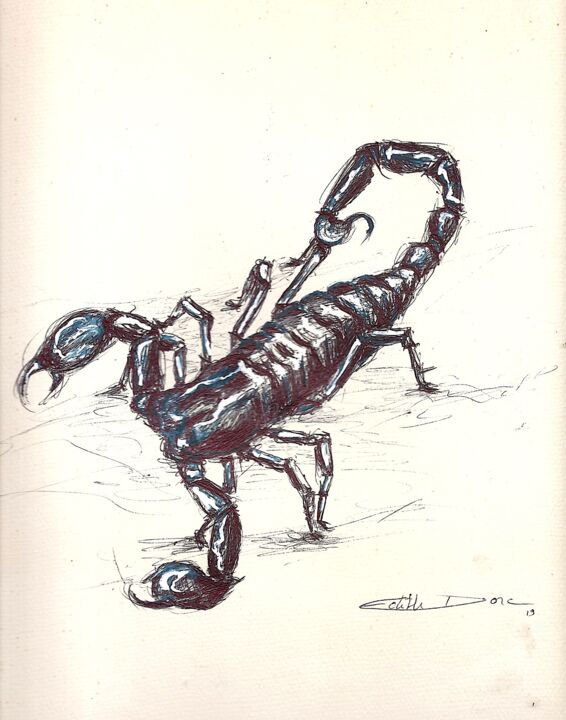 Dessine moi un scorpion 图画, 11.8x8.7 in