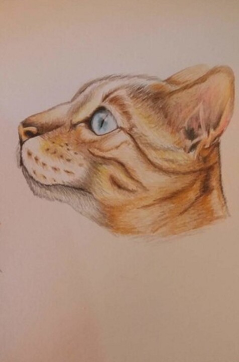 yellow cat 绘画, 11.4x8.3 in