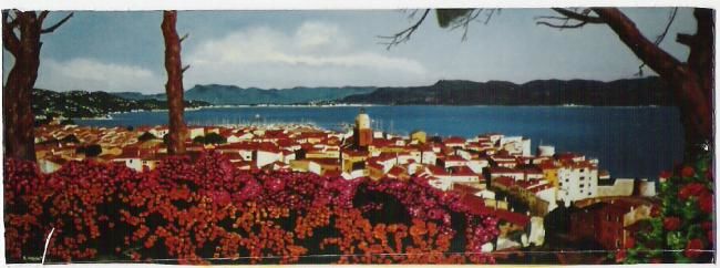 绘画 标题为“Saint Tropez ( Pano…” 由Rodolphe Parisotto, 原创艺术品, 油