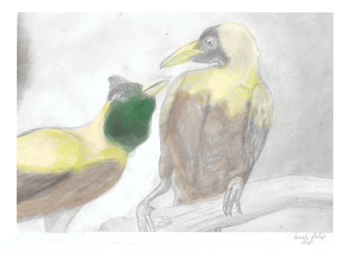 130,000 現代のパプアの芸術家 (パプアニューギニア) | ArtMajeur