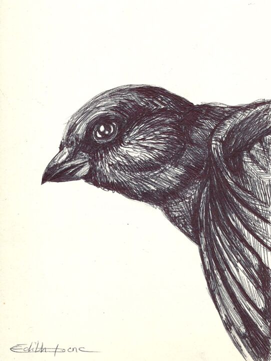 Moineau 图画, 5.9x4.7 in