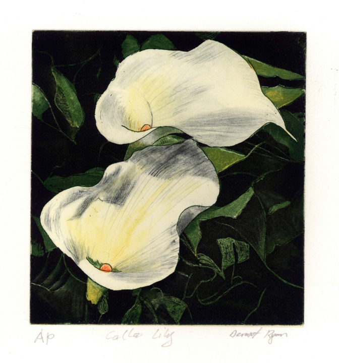 "Cala Lily" 印花与版画, 5.1x4.7 in
