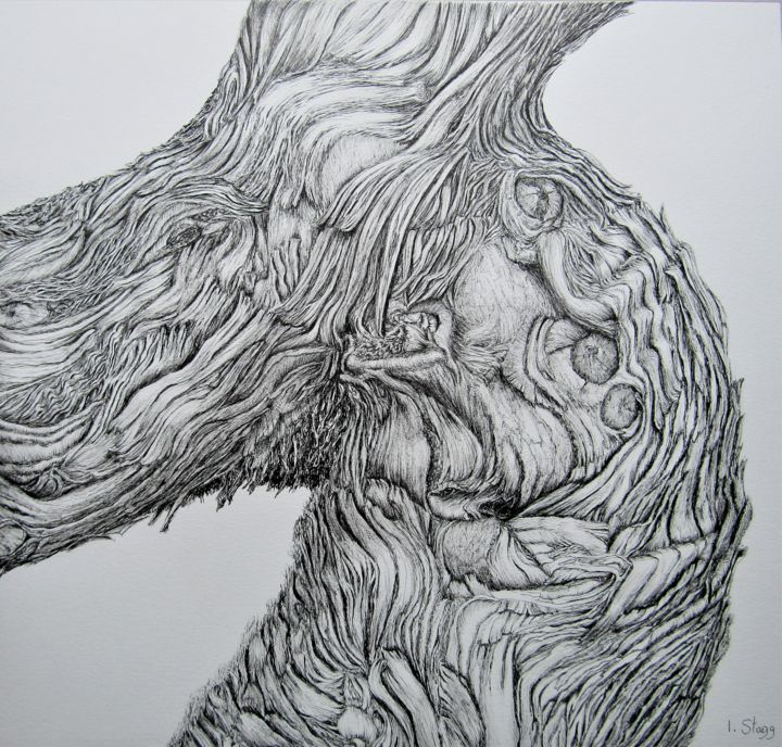 Drawing titled "Cep III" by Isabelle Stagg, Original Artwork, Ink