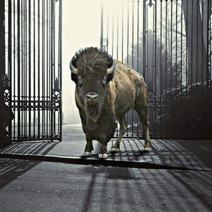 The Park Gates 数字艺术, 31.5x31.5 in