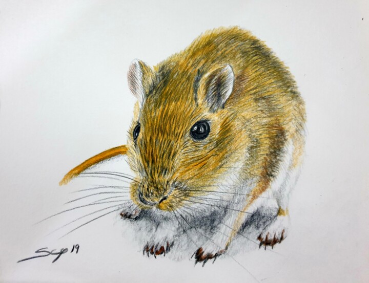 Mouse 绘画, 8.3x11.7 in