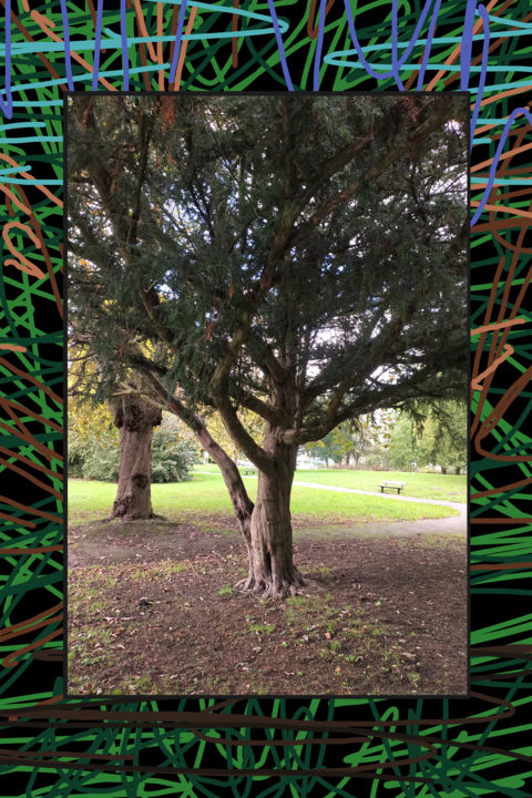 Digital Arts titled "Tree Scribble" by Gerald Shepherd F.F.P.S., Original Artwork, 2D Digital Work