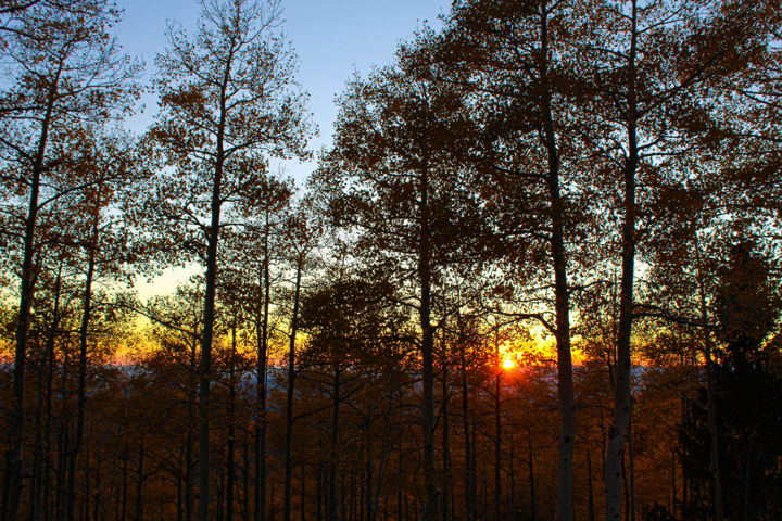 Photography titled "Sunset Shadows" by Teal Dreams Photography, Original Artwork, Digital Photography
