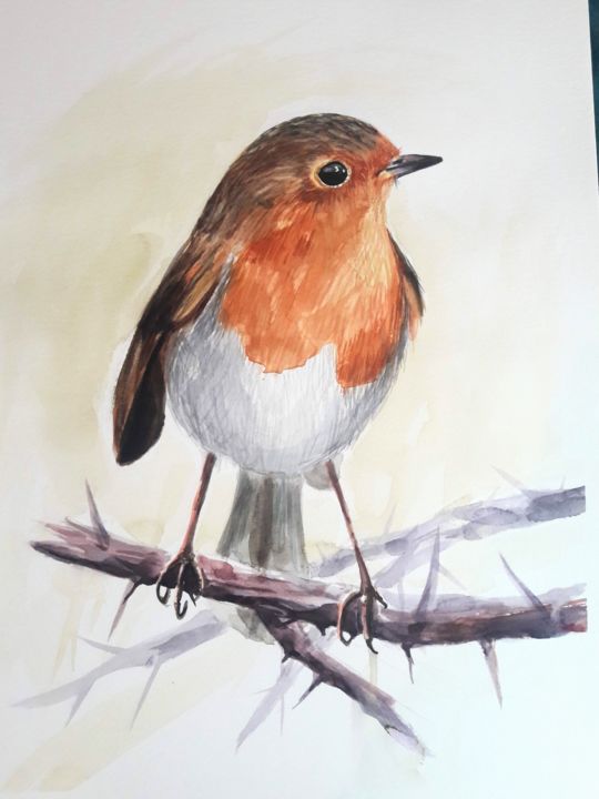 Painting titled "Rouge Gorge" by Oscar Torres Perez, Original Artwork, Watercolor