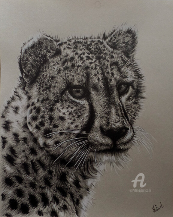 Guépard 图画, 11.8x9.5 in