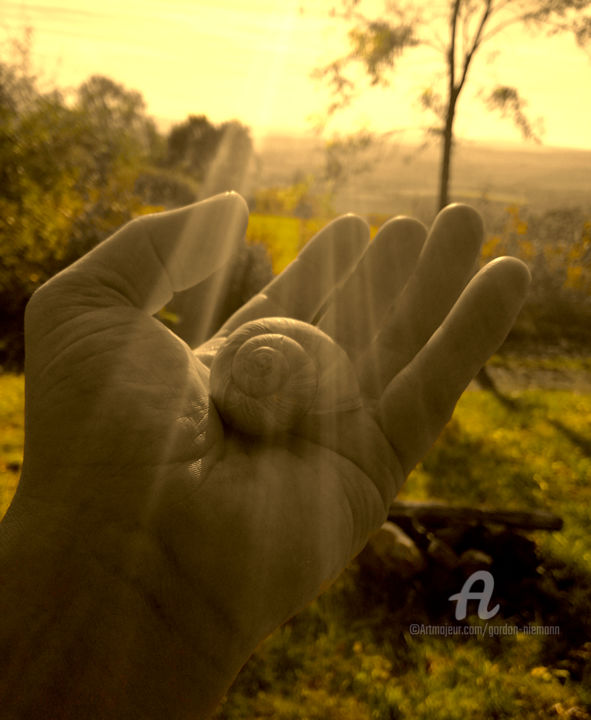 Fotografie mit dem Titel "snail shell in hand" von Gor Don(Gnie), Original-Kunstwerk, Digitale Fotografie