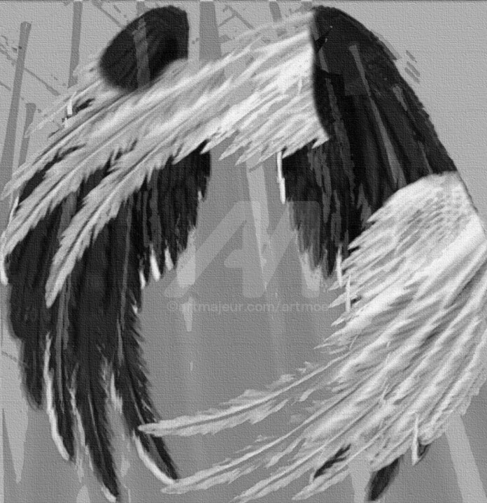 Black&White Angel 数字艺术