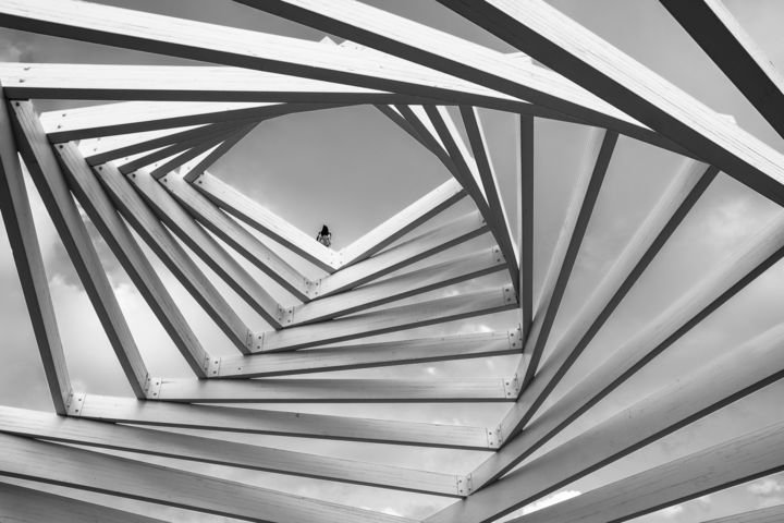 Φωτογραφία με τίτλο "Structure bois" από Pascal Nedjar, Αυθεντικά έργα τέχνης, Ψηφιακή φωτογραφία