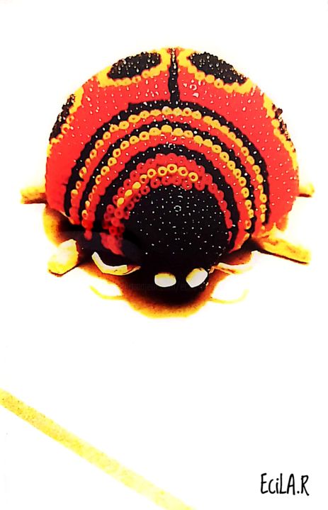 La Coccinelle chanceuse By Ecila.R 摄影