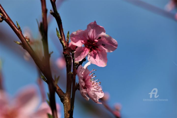 사진 