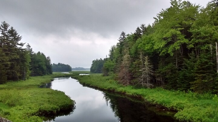 Photography titled "Green Waterway" by Raven Blake, Original Artwork, Digital Photography