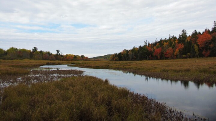 Photography titled "Autumn Landscape" by Raven Blake, Original Artwork, Digital Photography