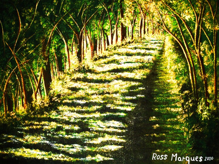 O caminho Digital Arts