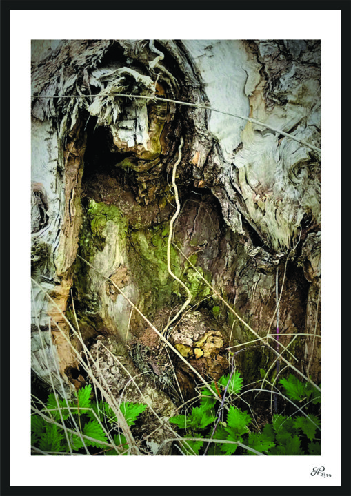 Photographie intitulée "" L'Alien 0.2 "" par Gil'Ber Pautler, Œuvre d'art originale, Photographie numérique