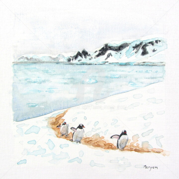 Peinture intitulée "(9) Manchots papous…" par Anne-Marie Mary, Œuvre d'art originale, Aquarelle Monté sur Autre panneau rigi…
