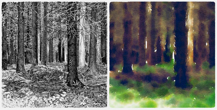 Arts numériques intitulée "Les bois (1)" par François Lapouge, Œuvre d'art originale, Travail numérique 2D