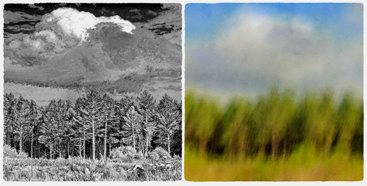 Arts numériques intitulée "Les bois (2)" par François Lapouge, Œuvre d'art originale, Travail numérique 2D