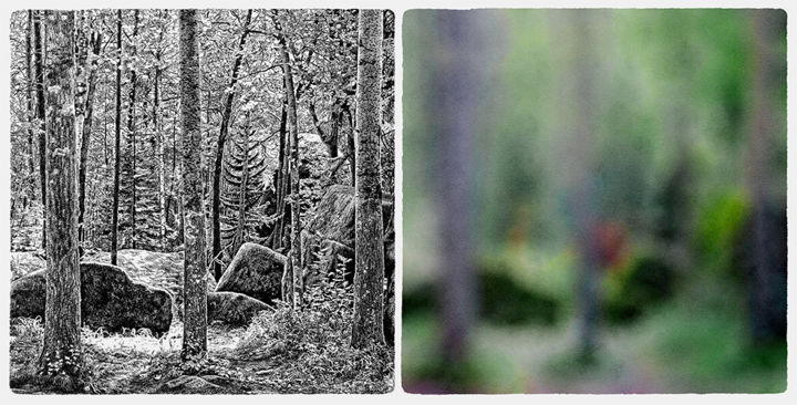 Arts numériques intitulée "Les bois (La forêt,…" par François Lapouge, Œuvre d'art originale, Travail numérique 2D