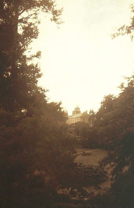 Photographie intitulée "Botanical Garden (N…" par Salah El Moncef, Œuvre d'art originale, Photographie argentique