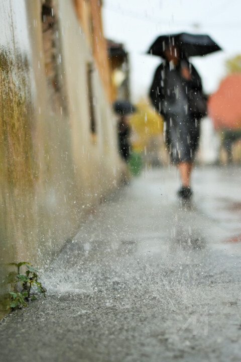 Rainy day v2 摄影