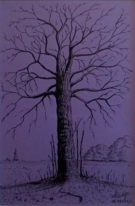 Dessin intitulée "le vieux tilleul" par Charles Corbin, Œuvre d'art originale, Encre Monté sur Carton