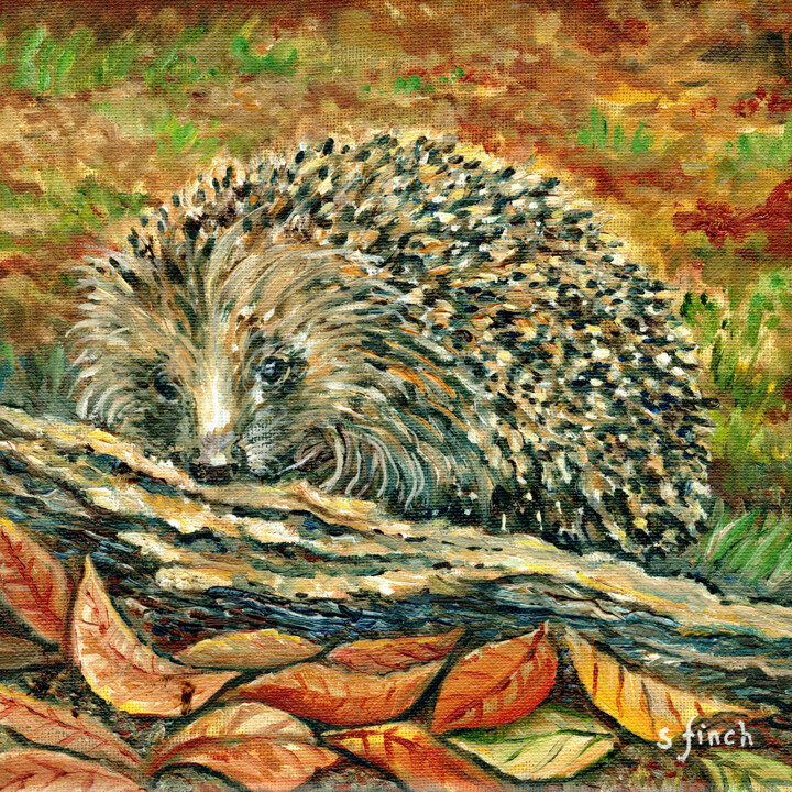Schilderij getiteld "Spirit of Hedgehog" door Sonia Finch, Origineel Kunstwerk, Olie Gemonteerd op Frame voor houten brancard