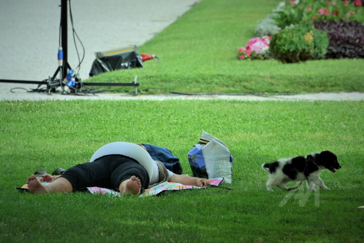Owner and dog 摄影
