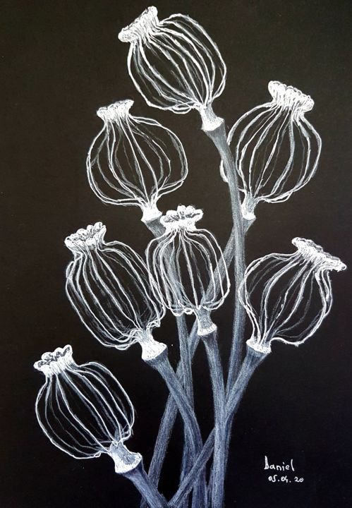 「Still life」というタイトルの描画 Daniel Darieによって, オリジナルのアートワーク, 鉛筆
