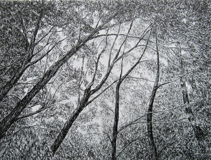 Additional views 2
