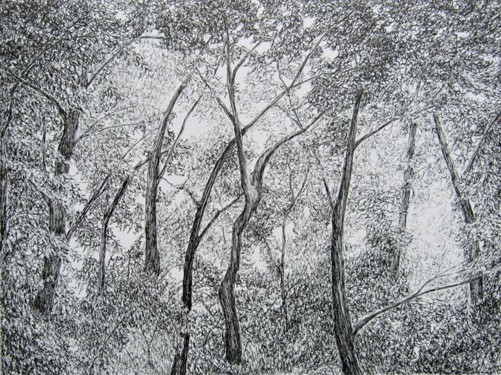Additional views 3